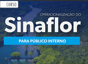 SINAFLOR Interno