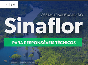 SINAFLOR RT