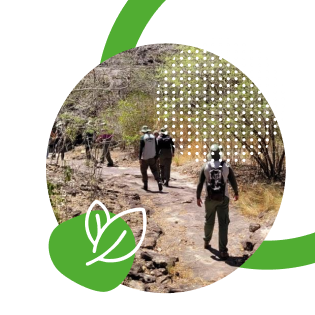 decoração com imagem e folha