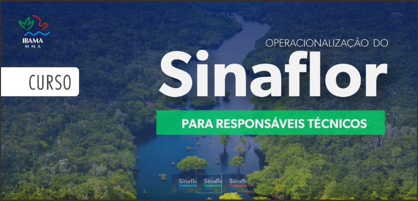 SINAFLOR para Responsável Técnico - 2026